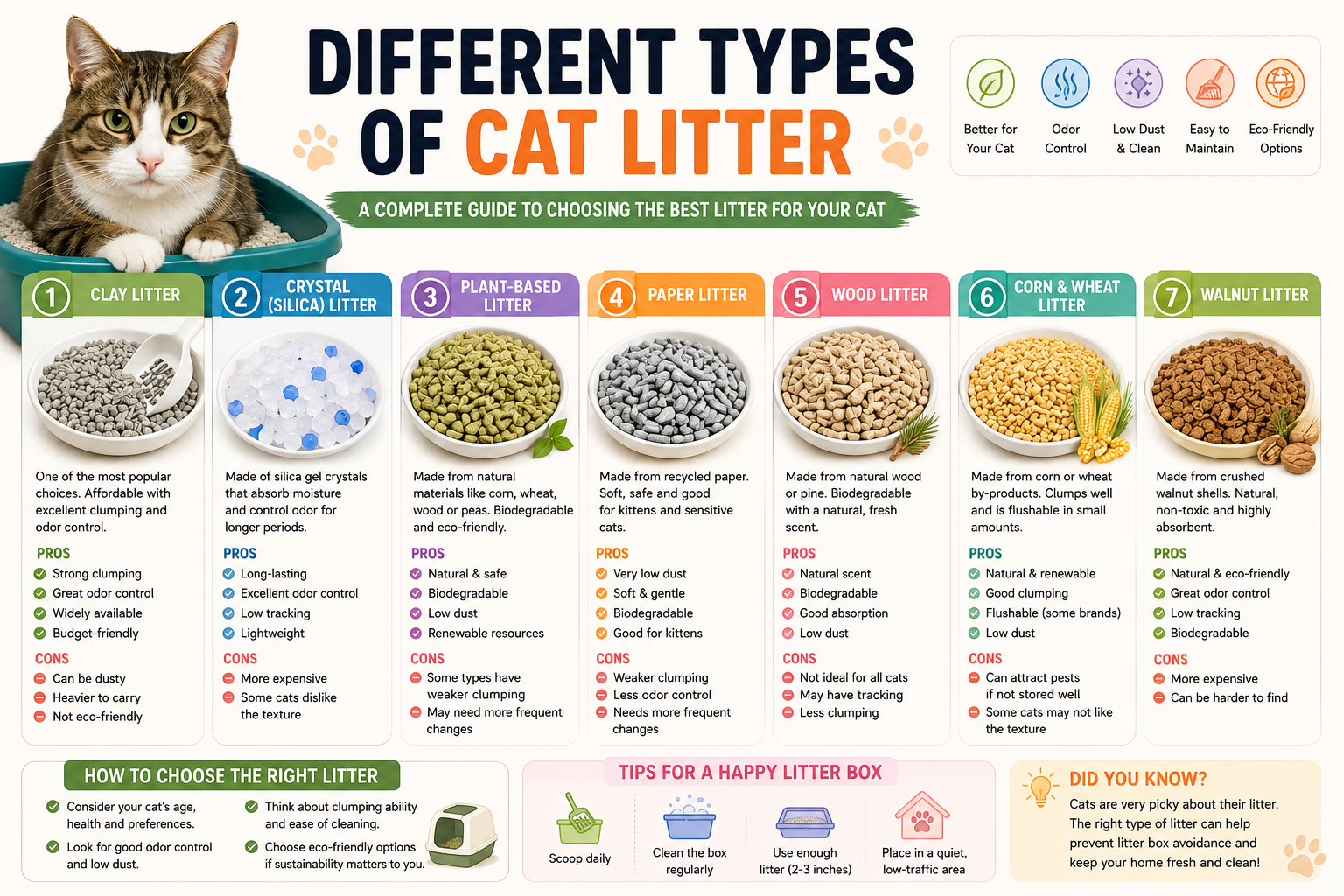 Different Types of Cat Litter Explained (2026): Complete Comparison Guide