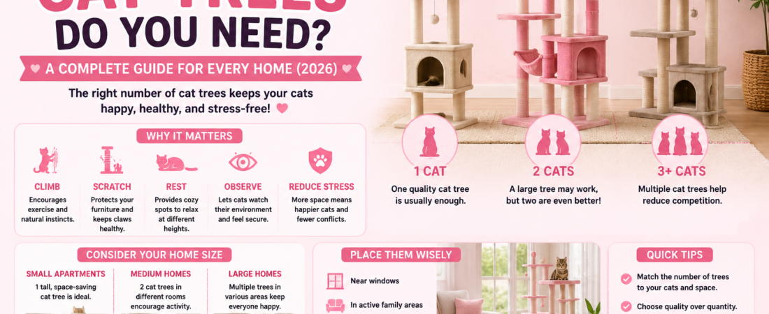 How Many Cat Trees Do You Need? A Complete Guide for Every Home (2026)