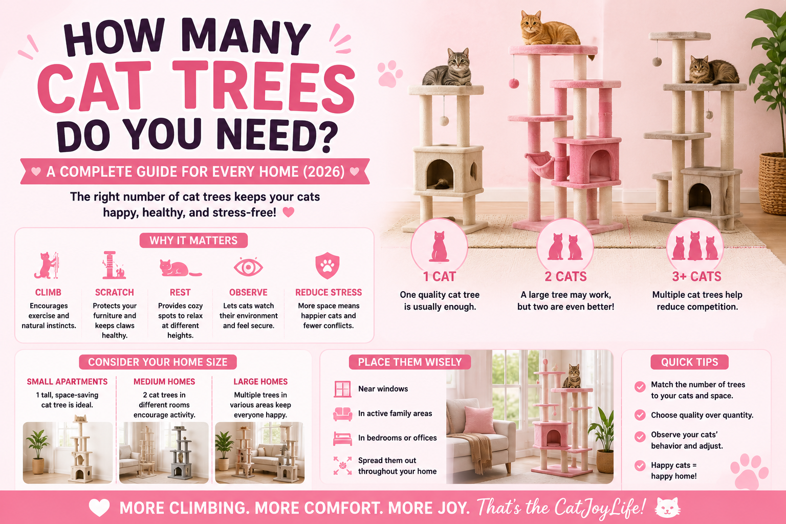 How Many Cat Trees Do You Need? A Complete Guide for Every Home (2026)