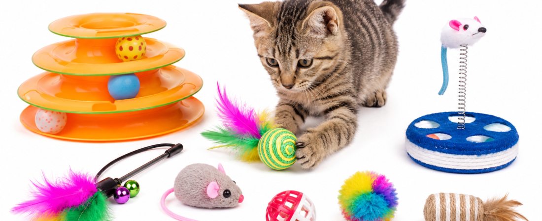 Best Cat Toys in 2026 | Top Interactive Toys for Indoor Cats