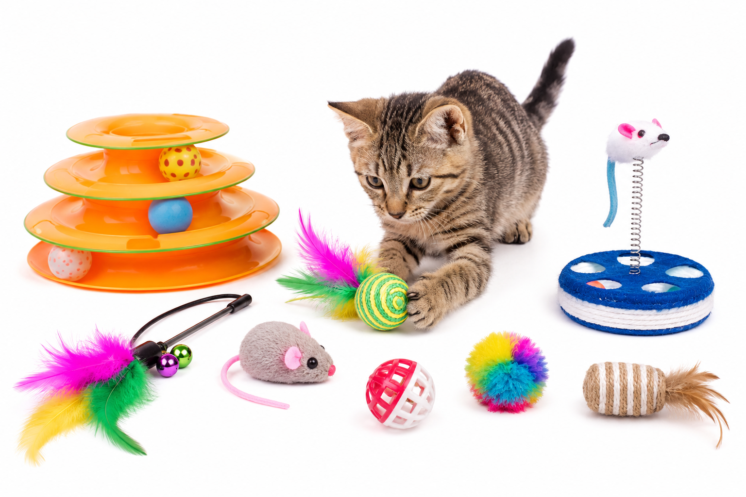 Best Cat Toys in 2026 | Top Interactive Toys for Indoor Cats
