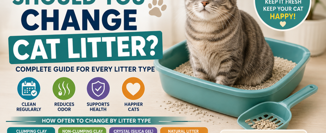 How Often Should You Change Cat Litter? (Complete Guide)