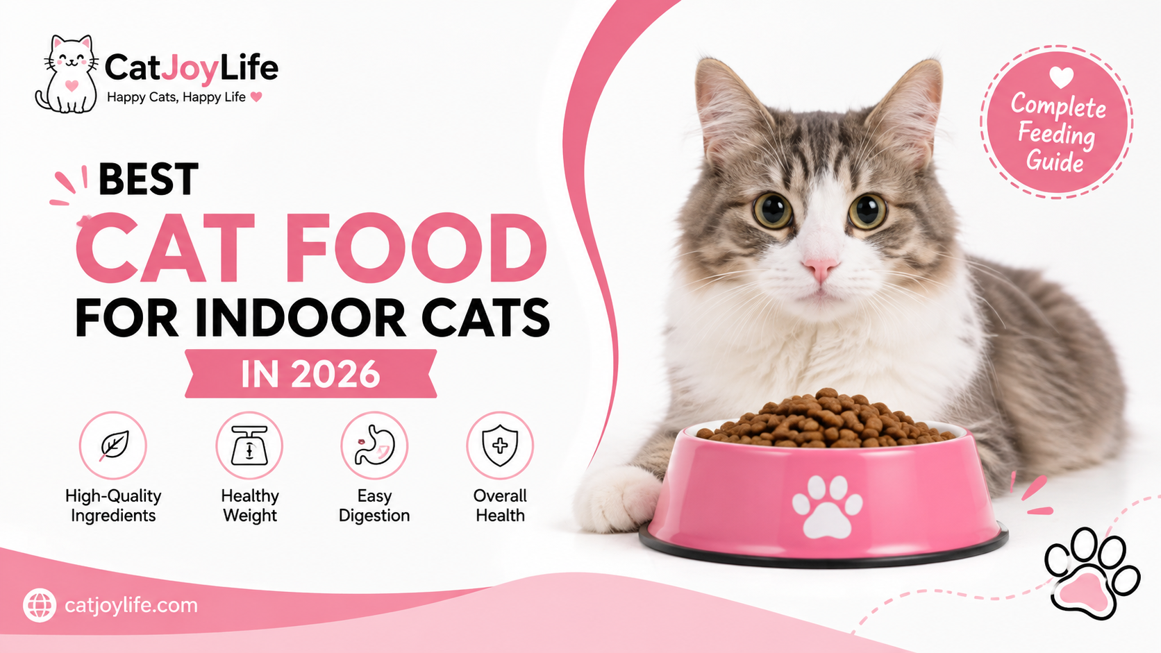 Best Cat Food for Indoor Cats in 2026: Complete Guide
