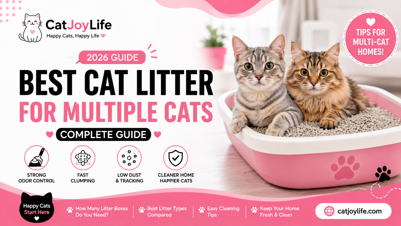 Best Cat Litter for Multiple Cats in 2026: Complete Guide