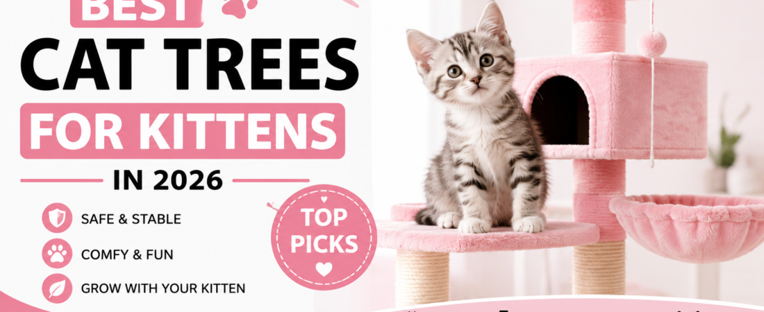 Best Cat Trees for Kittens in 2026: Safe & Stable Picks