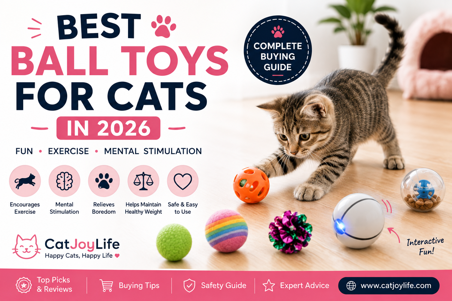 Best Ball Toys for Cats in 2026: Complete Buying Guide