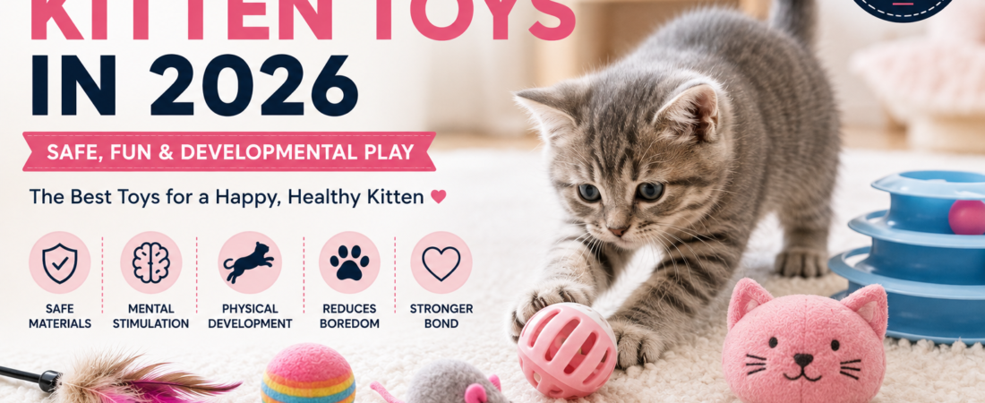 Best Kitten Toys in 2026: Complete Buying Guide