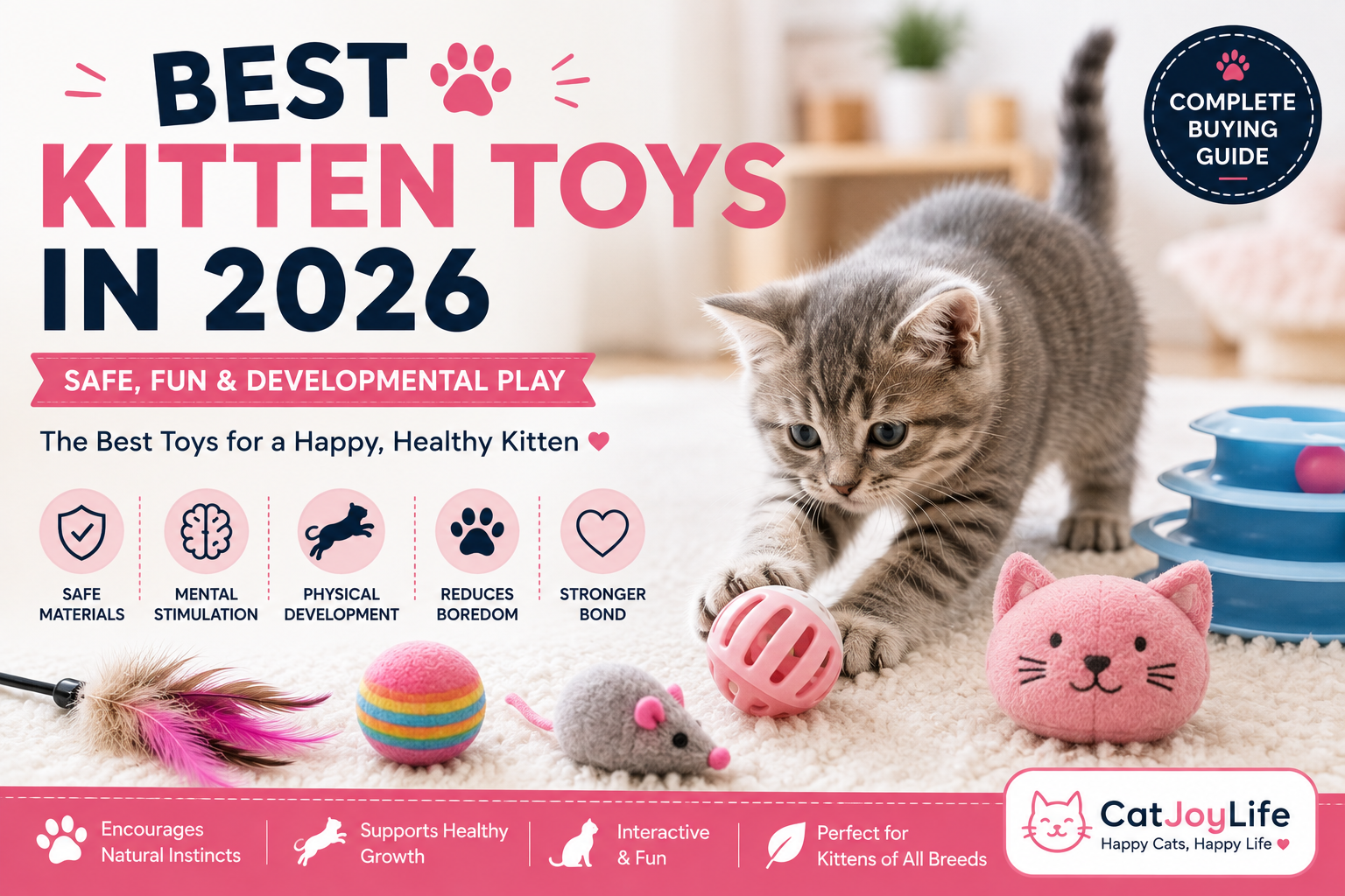 Best Kitten Toys in 2026: Complete Buying Guide