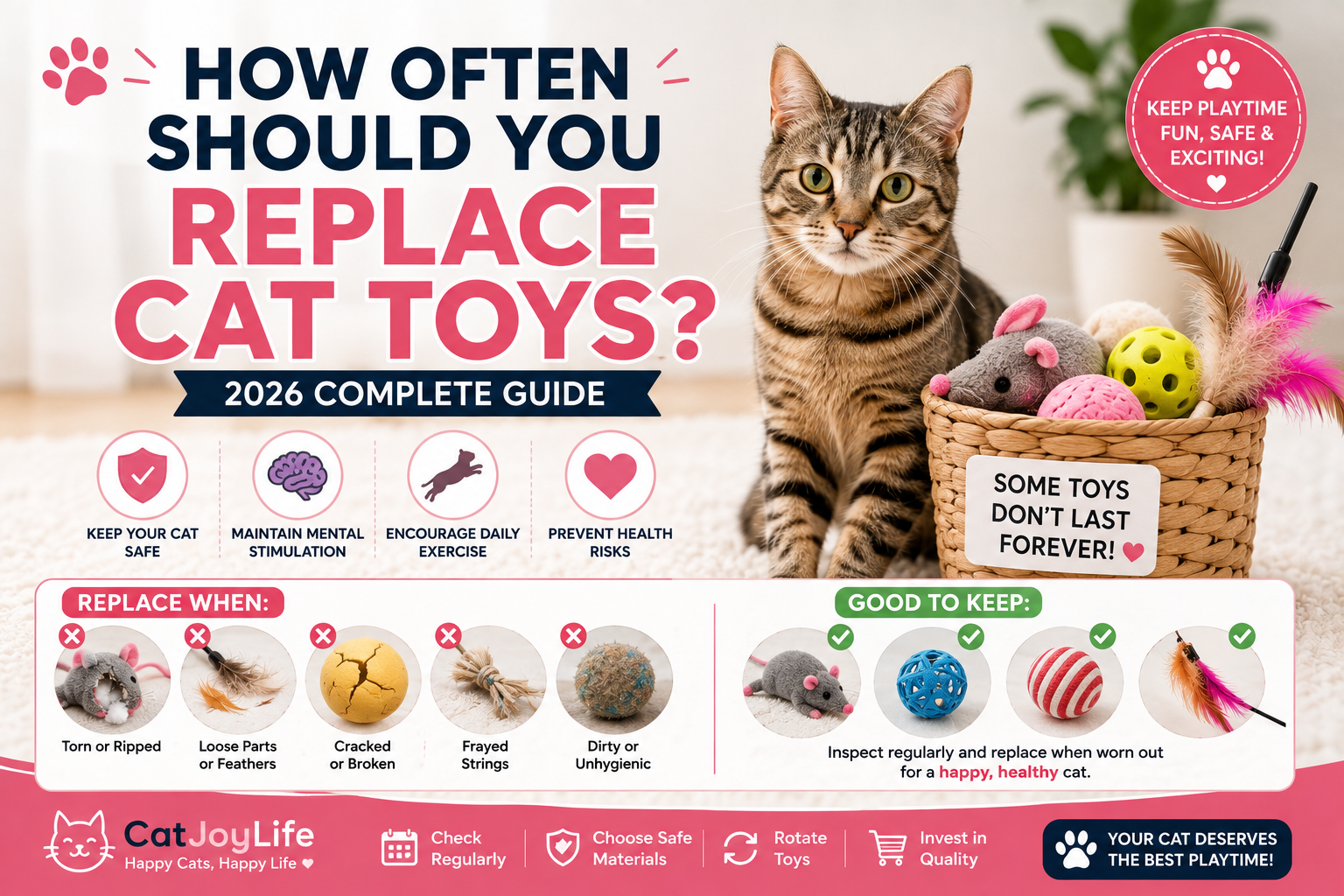 How Often Should You Replace Cat Toys? (2026 Guide)
