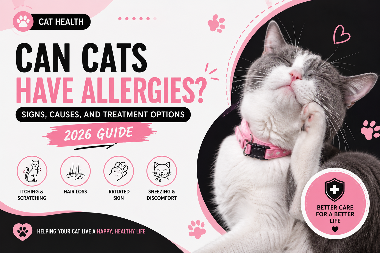 Cat Allergies: Signs, Causes & Treatment (2026 Guide)