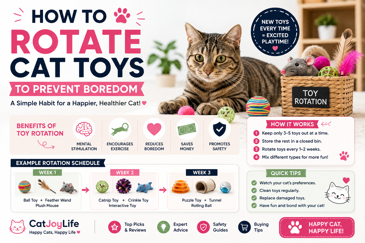 How to Rotate Cat Toys to Prevent Boredom (2026 Guide)