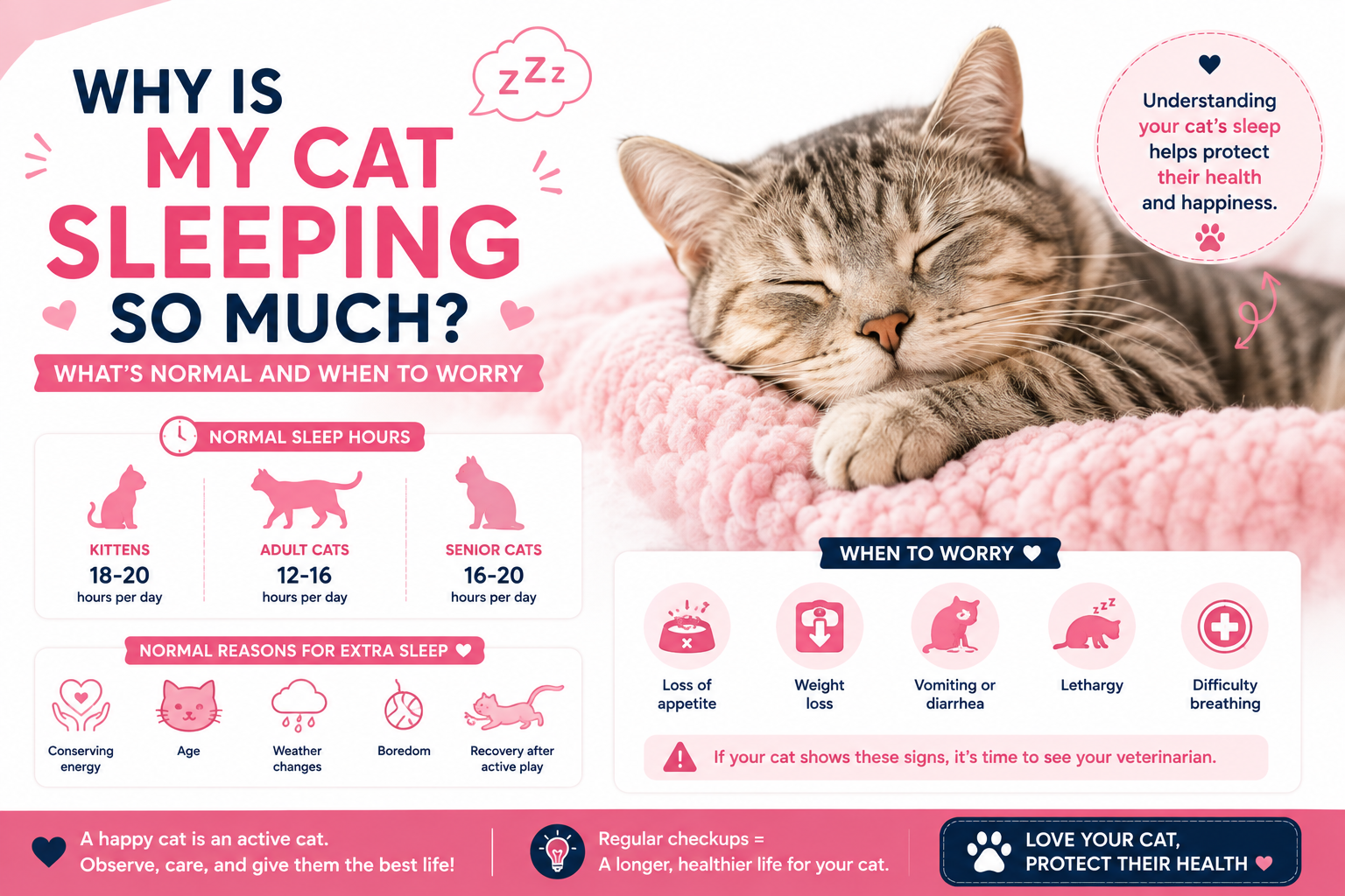 Why Is My Cat Sleeping So Much? (2026 Guide)