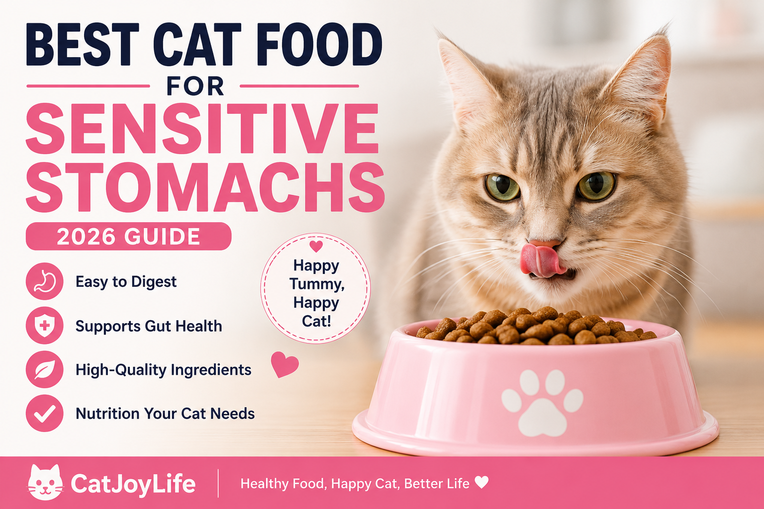 Best Cat Food for Sensitive Stomachs (2026 Guide): How to Choose the Right Diet