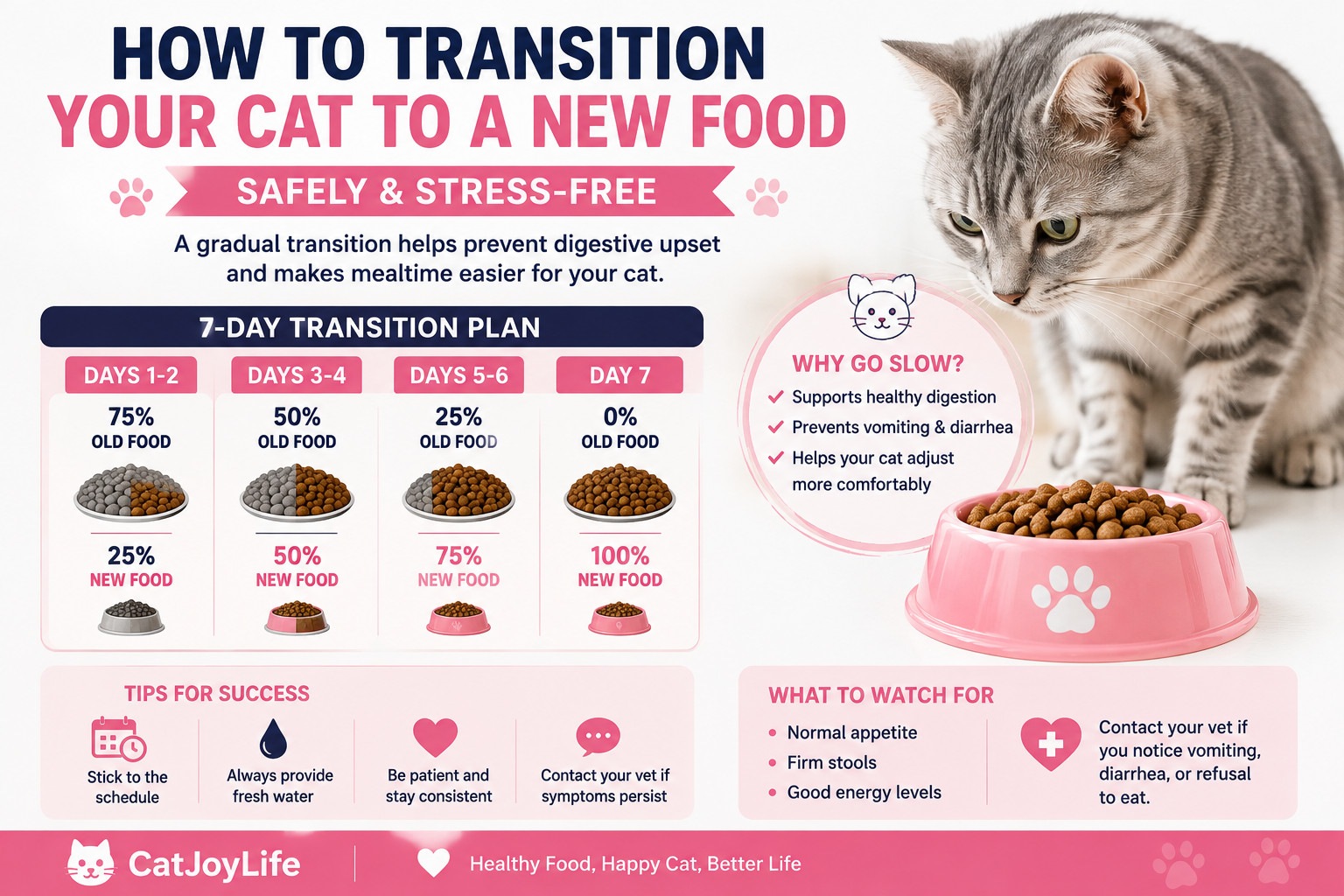 How to Transition Your Cat to a New Food Safely (2026 Guide)