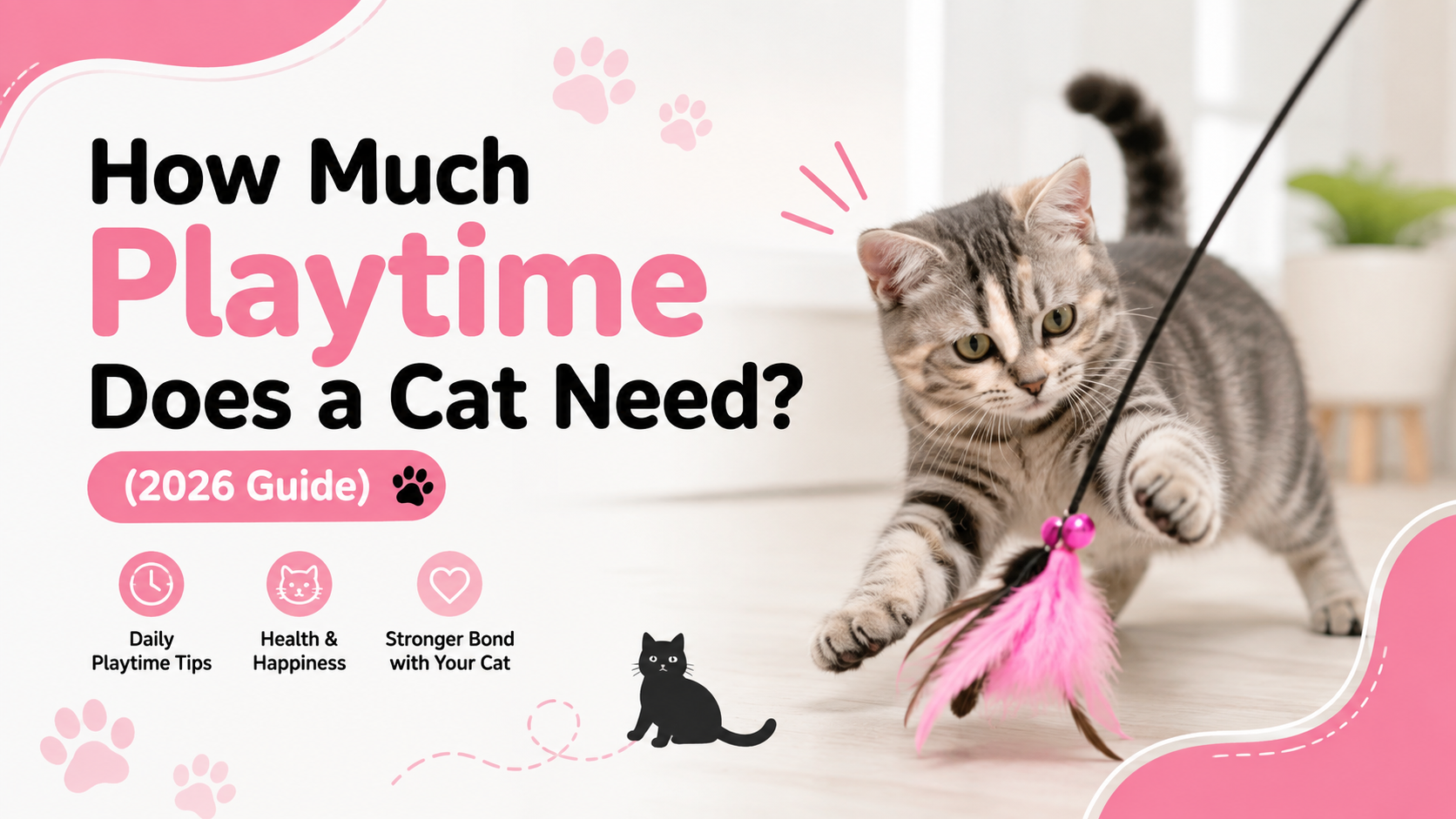 How Much Playtime Does a Cat Need? (2026 Guide)