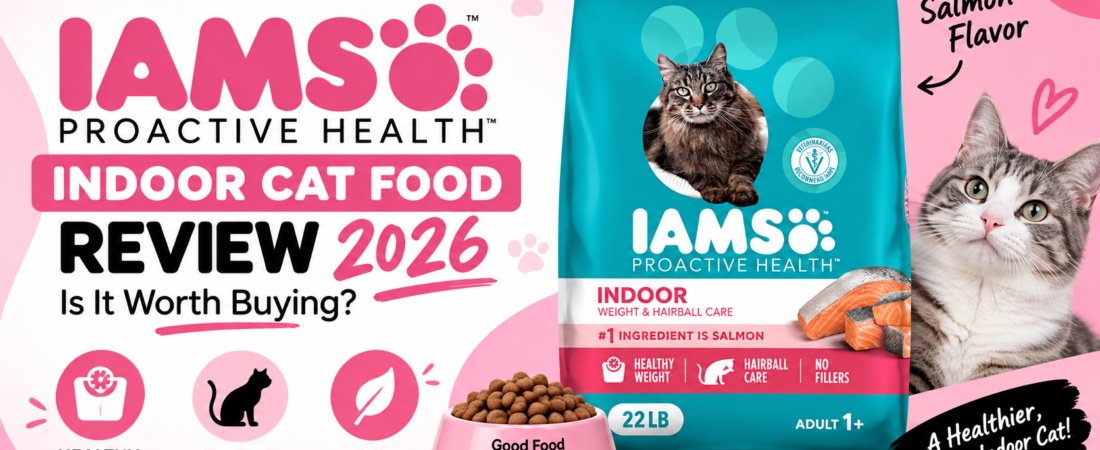 IAMS Indoor Cat Food Review 2026: Is It Worth It?