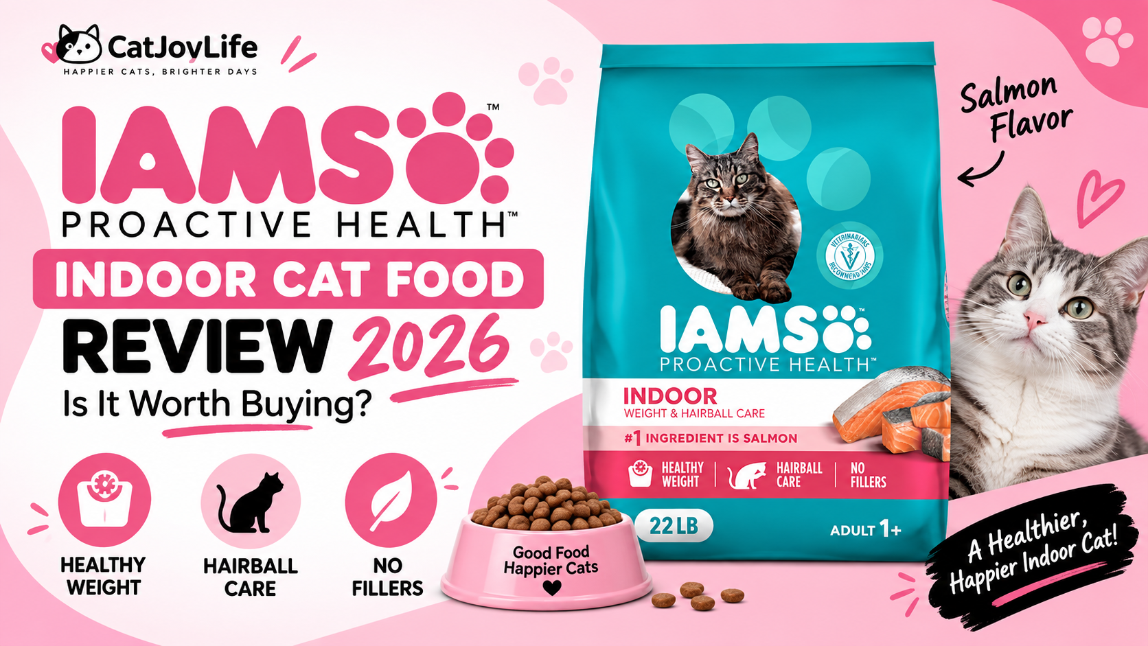 IAMS Indoor Cat Food Review 2026: Is It Worth It?