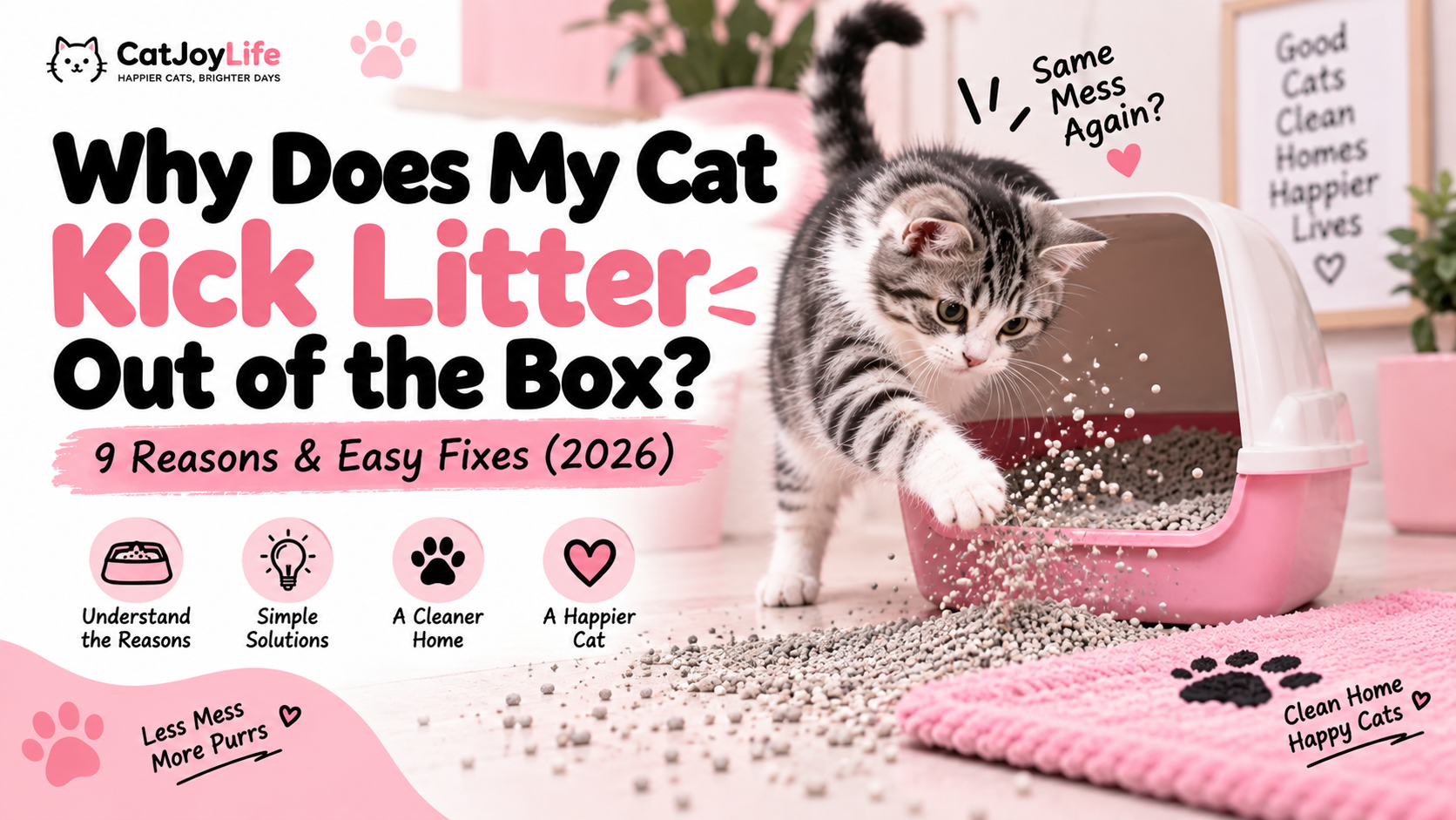 How Much to Feed a Cat? Complete Feeding Guide (2026)
