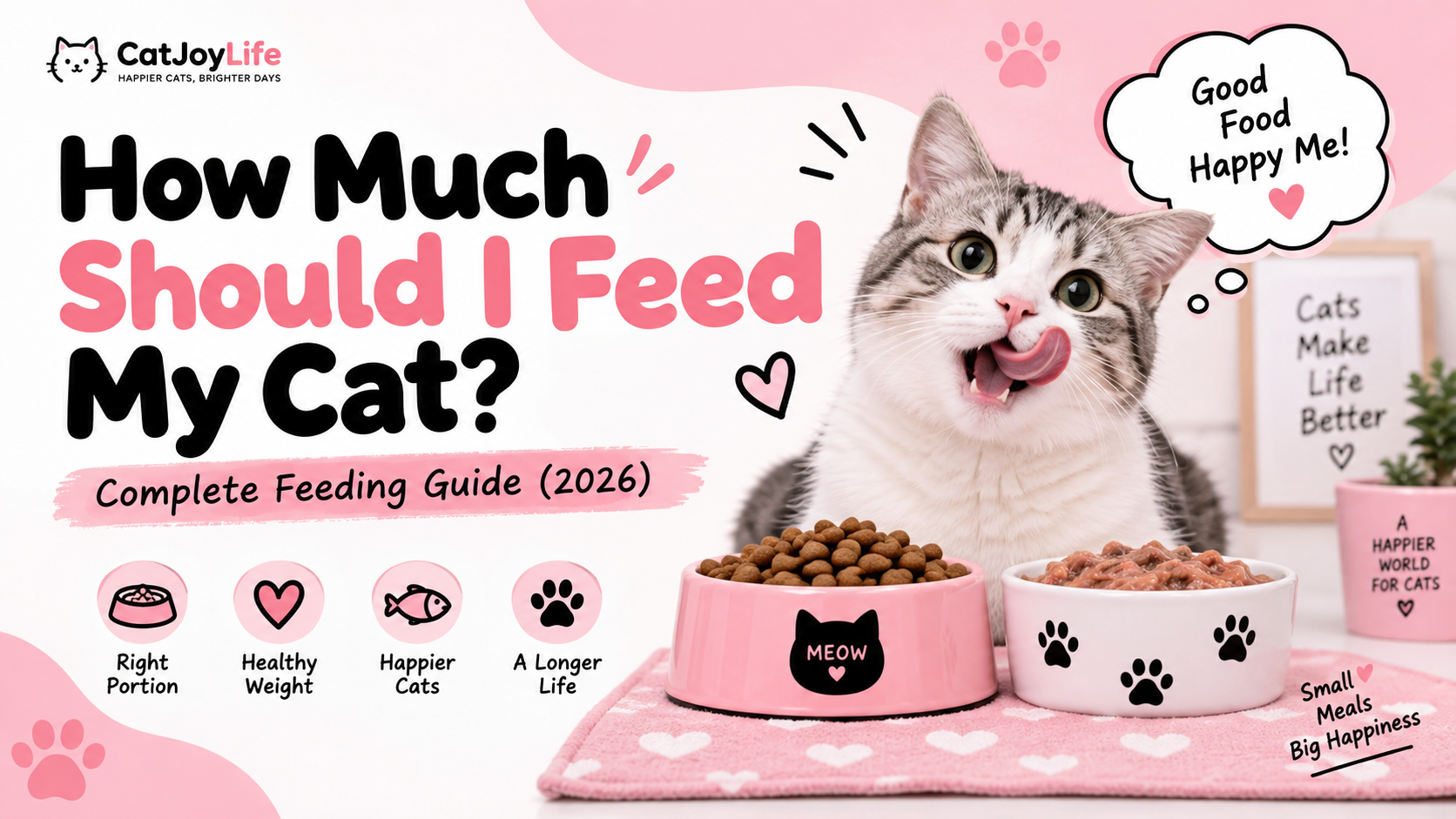 How Much to Feed a Cat? Complete Feeding Guide (2026)