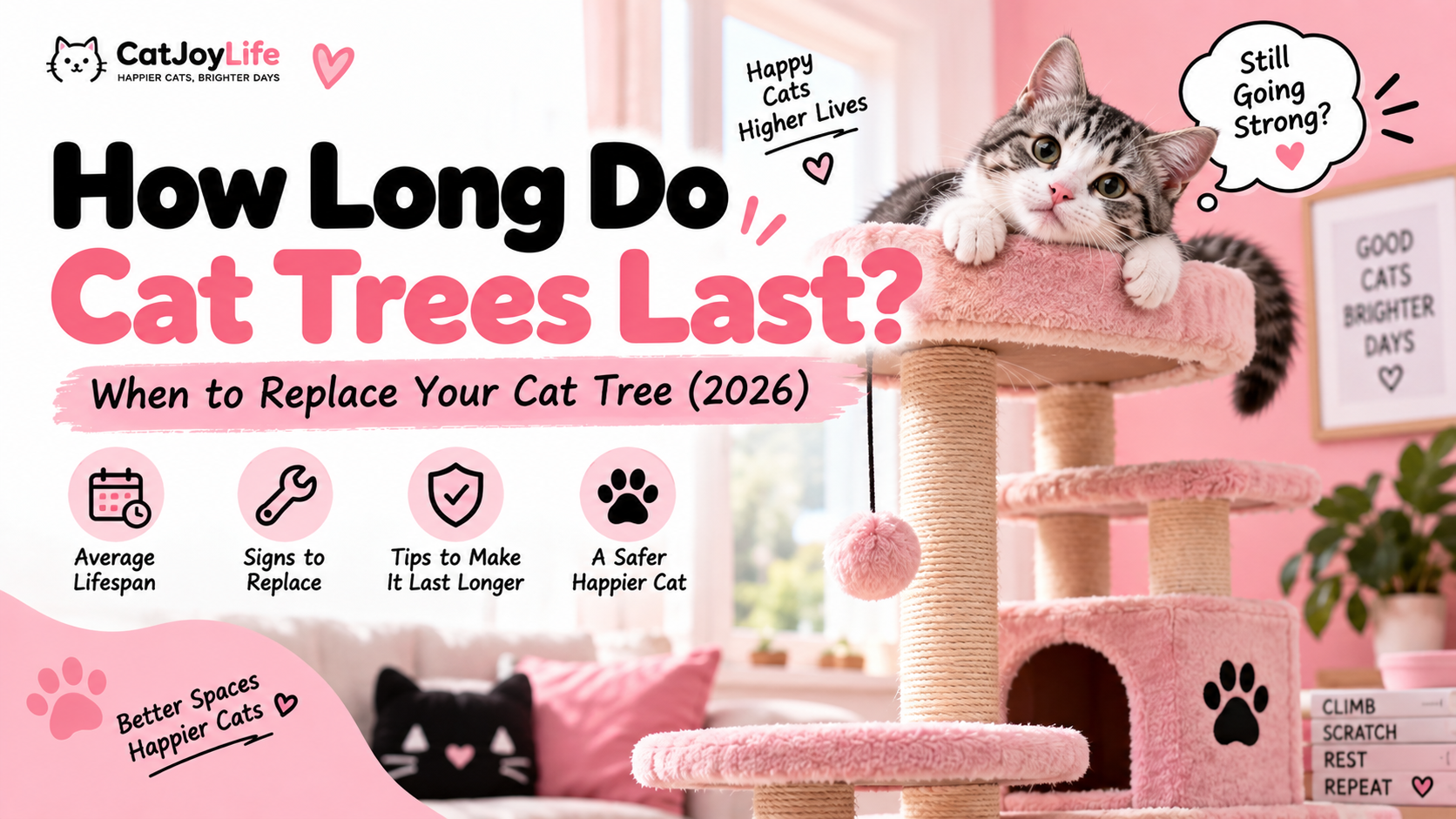 How Long Do Cat Trees Last? Replacement Guide (2026)