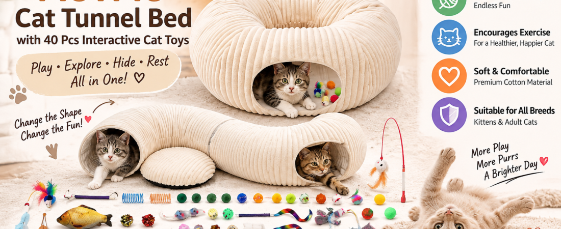 MOYMO Cat Tunnel Bed Review: Is This 40-Piece Set Worth It?