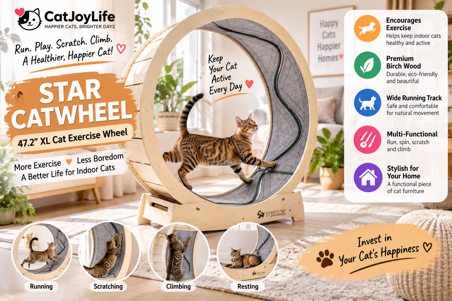 STAR CATWHEEL Review: Is This Cat Exercise Wheel Worth It?