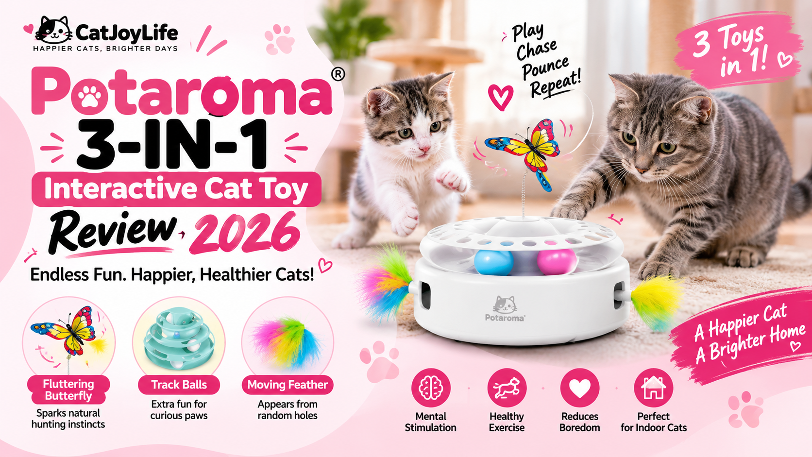 Potaroma 3-in-1 Cat Toy Review 2026: Is It Worth It?