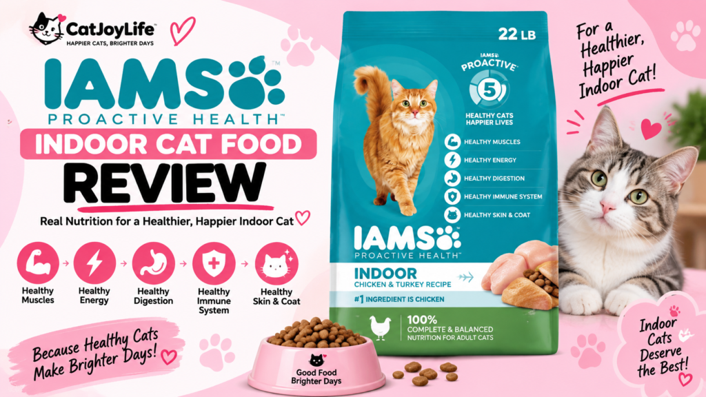 Is IAMS Proactive Health Indoor Cat Food Worth It?