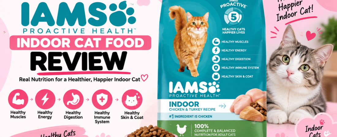 Is IAMS Proactive Health Indoor Cat Food Worth It?