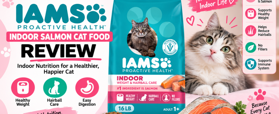 IAMS Indoor Salmon Cat Food Review: Is It Worth It?