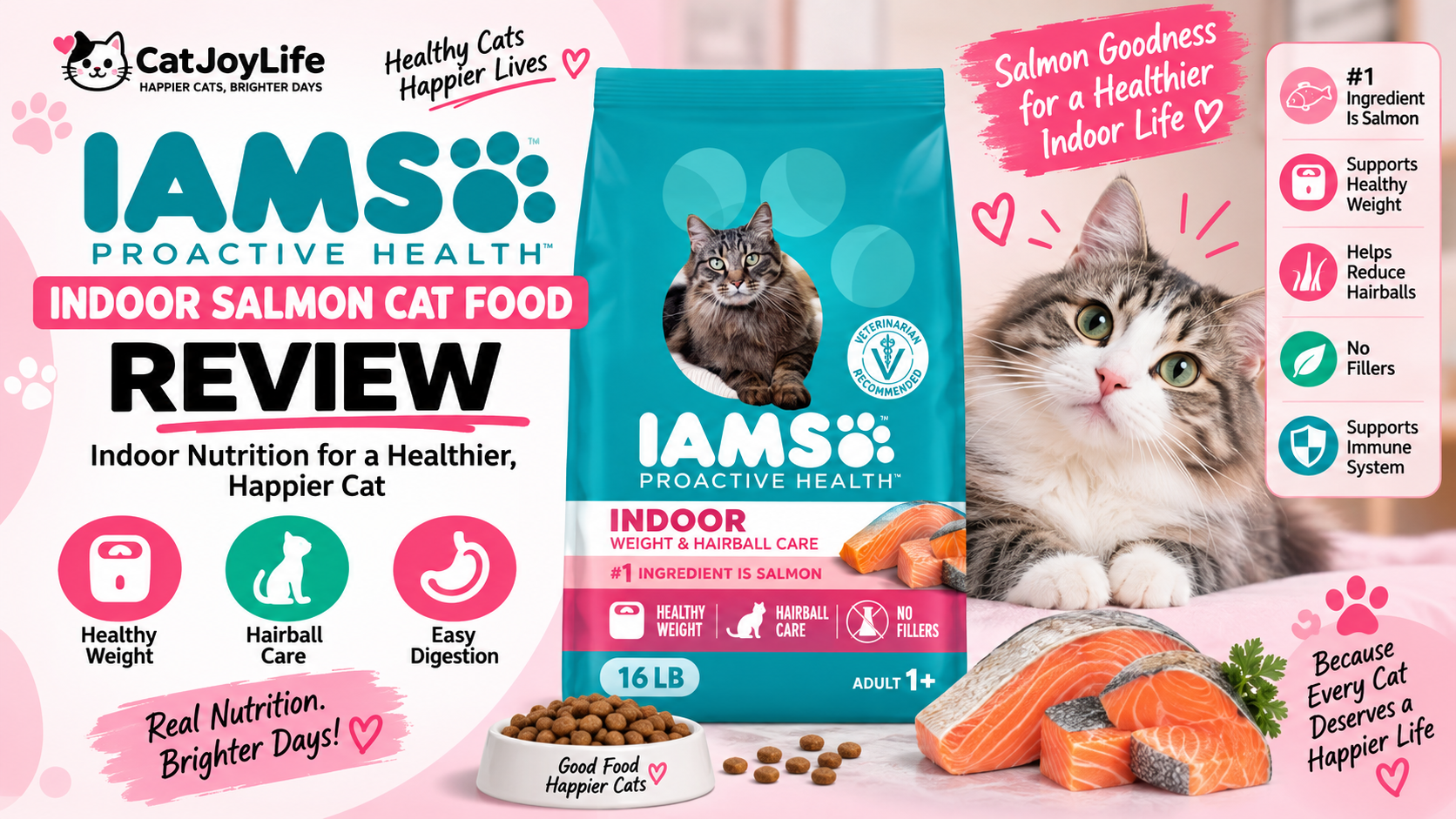 IAMS Indoor Salmon Cat Food Review: Is It Worth It?