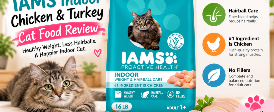 IAMS Indoor Chicken & Turkey Cat Food Review