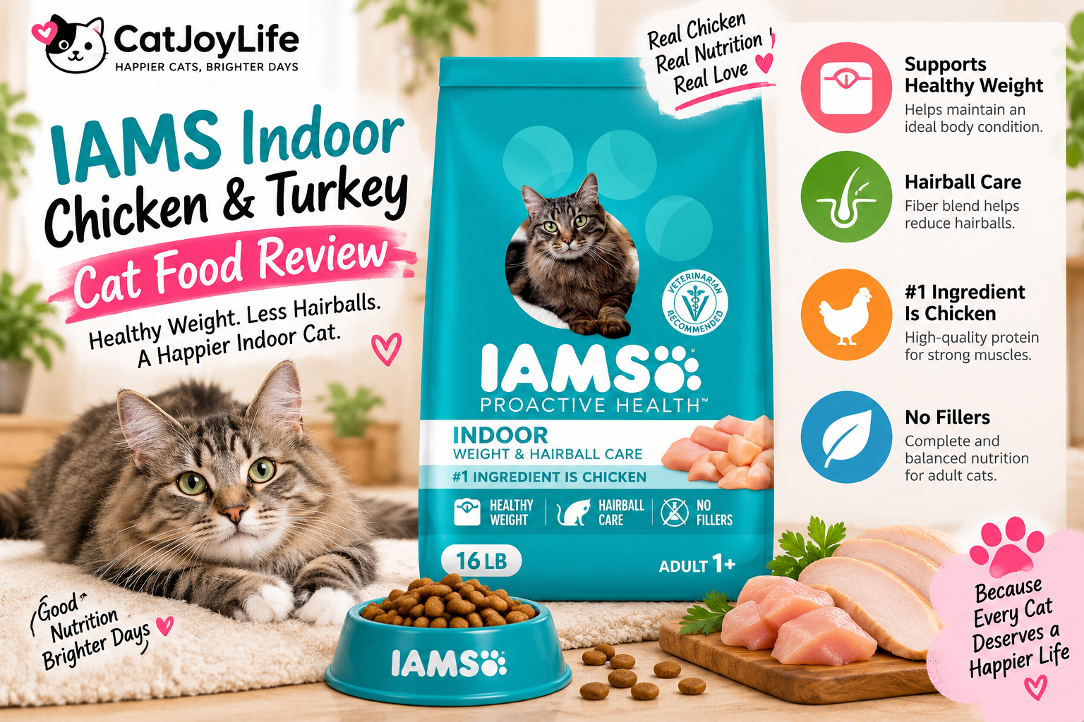 IAMS Indoor Chicken & Turkey Cat Food Review
