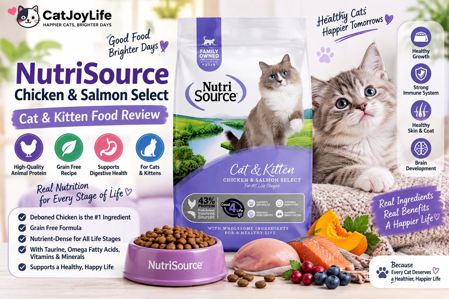 NutriSource Chicken & Salmon Cat Food Review