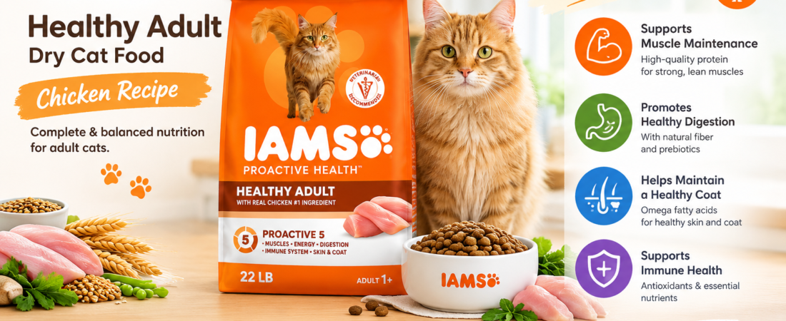 IAMS Proactive Health Healthy Adult Cat Food Review